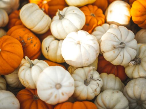 stacked white and orange pumpkins